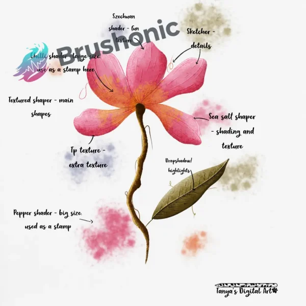 Tanya’s Texture Brush Set for Procreate – Free Sample