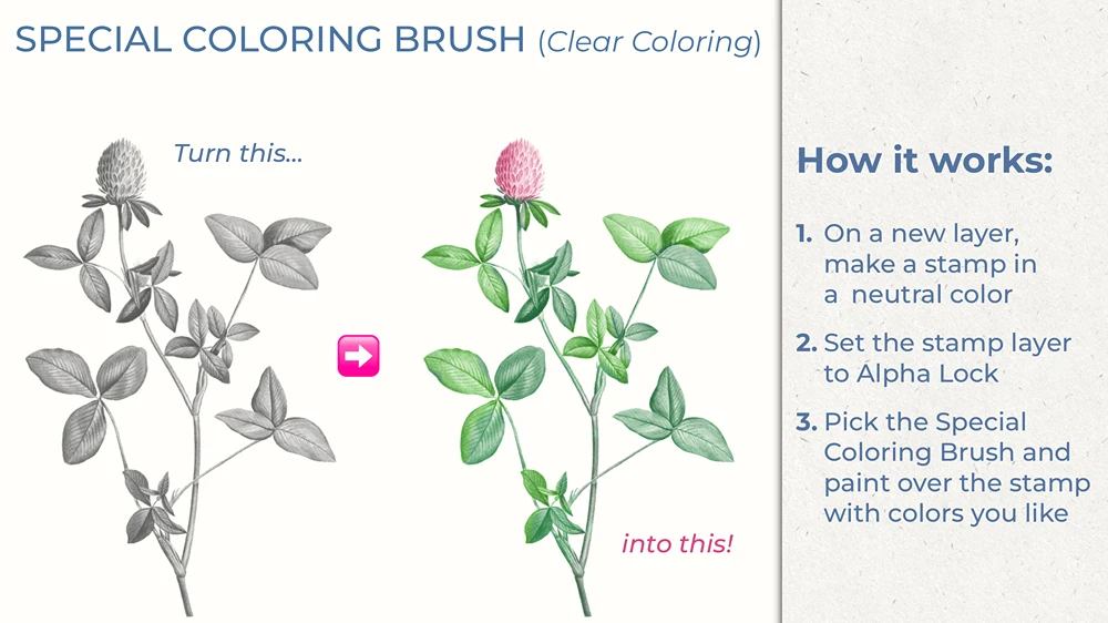 Authentic Vintage Collage Procreate Brushes (Free) 3 Authentic Vintage Collage Procreate Brushes (Free) - Image 3