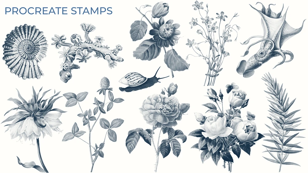 Authentic Vintage Collage Procreate Brushes (Free) 2 Authentic Vintage Collage Procreate Brushes (Free) - Image 2