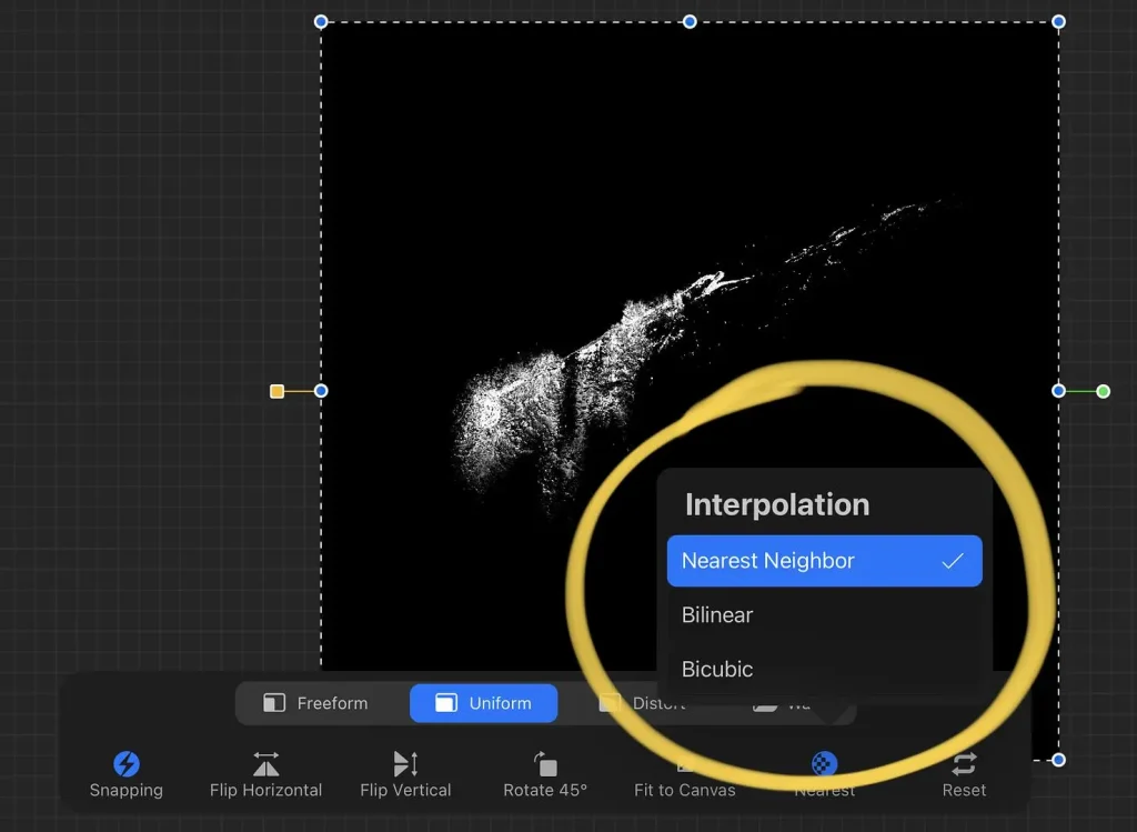 How to Resize Image in Procreate Without Losing Quality 3 Interpolation Settings