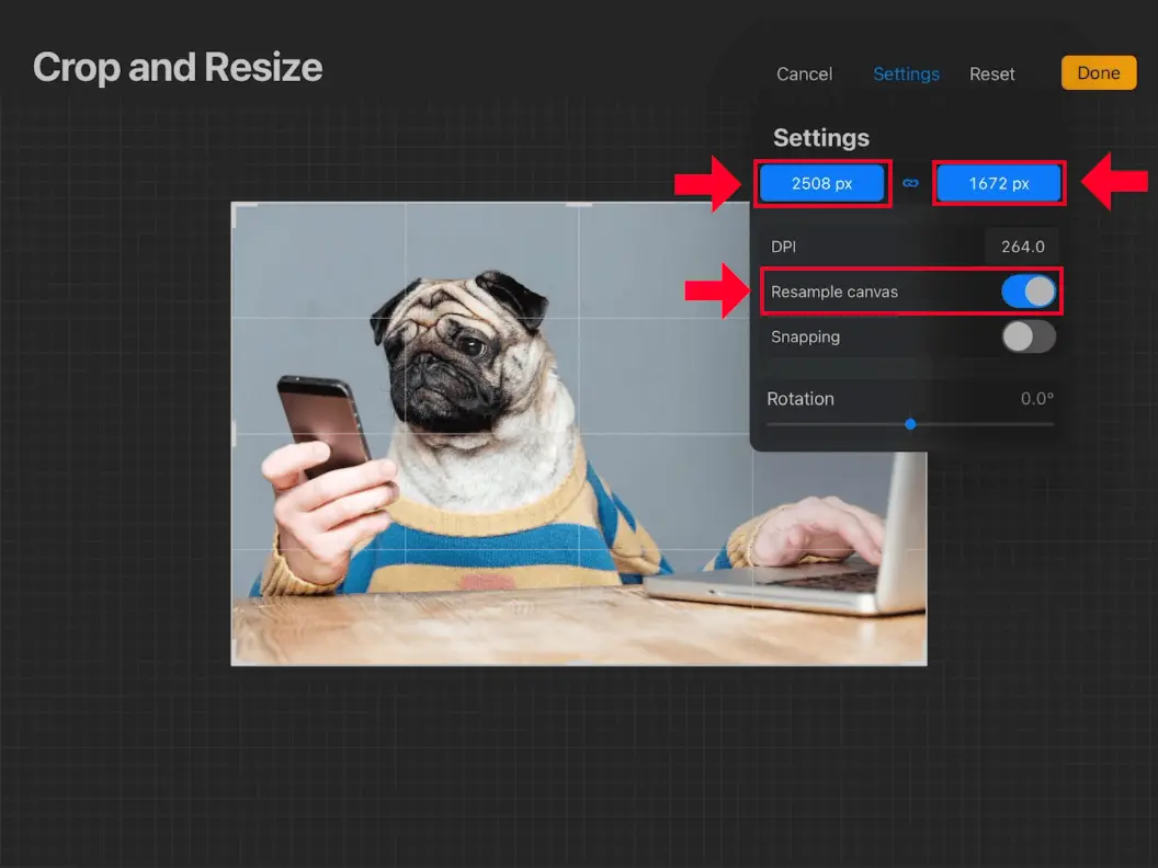 How to Resize Image in Procreate Without Losing Quality 2 procreate resample canvas